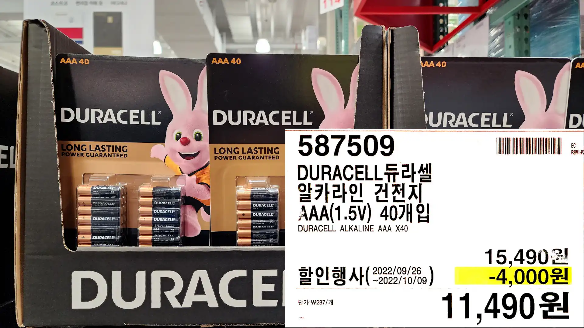 DURACELL듀라셀
알카라인 건전지
AAA(1.5V) 40개입
DURACELL ALKALINE AAA X40
11&#44;490원