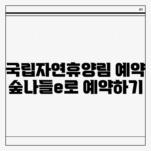 국립자연휴양림 예약 숲나들e로 예약하기