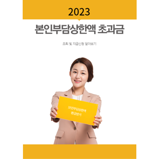 2023년 본인부담상한액 초과금 조회 및 지급신청 알아보기(feat.입금지급일) 썸네일 사진