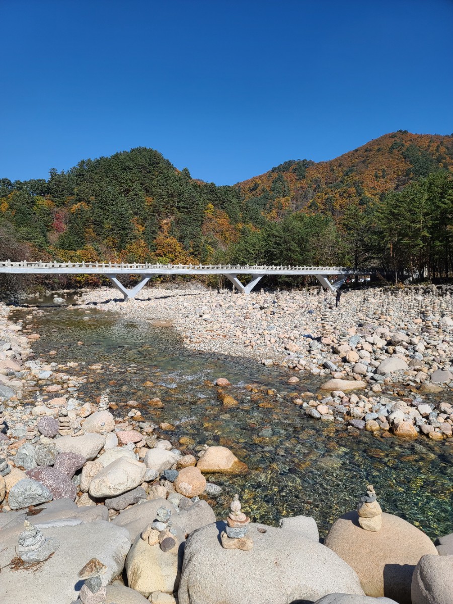 백담사 단풍 멋지다 ( 셔틀버스안내 ) 강원도 인제 여행 / 설악산 4