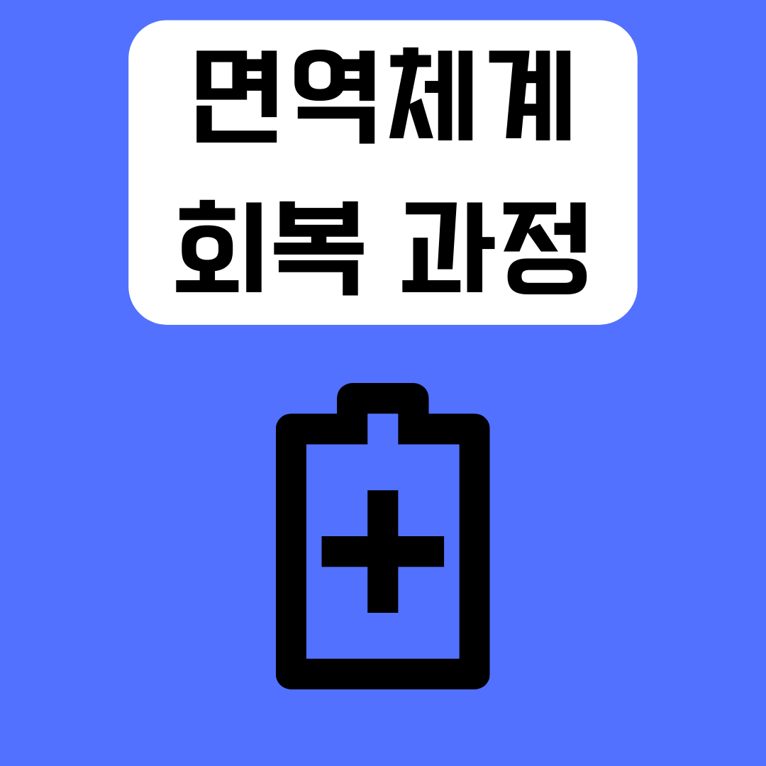 면역체계-회복