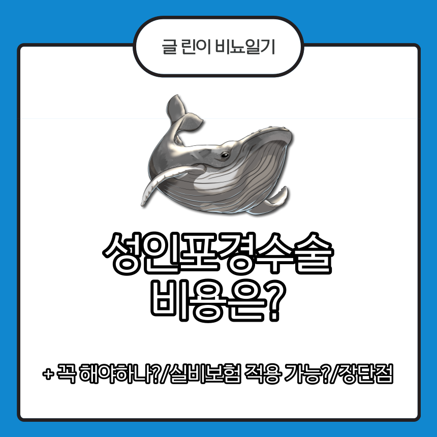 성인포경수술 비용
성인포경수술 가격