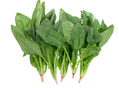 연골에 좋은 음식