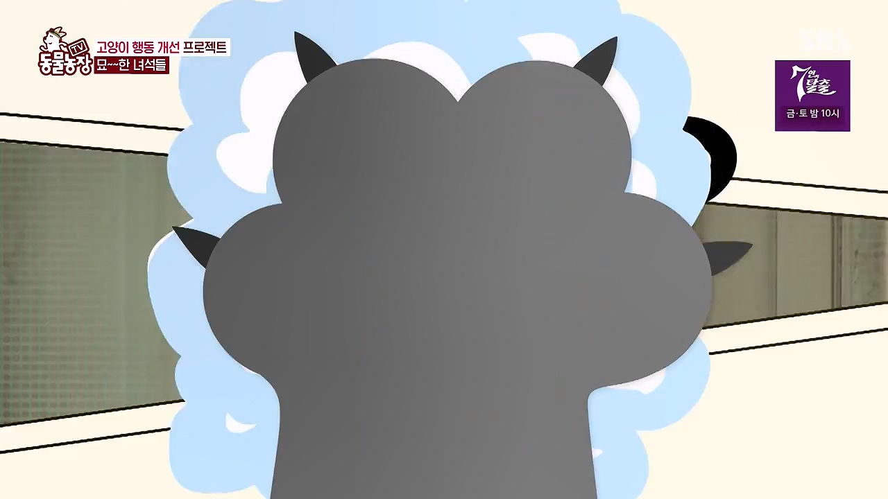 TV 동물농장.E1138.230918p-NEXT.mp4_20230917_174233.690.jpg