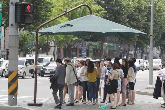  서울기술연구원, “가로수가 그늘막보다 폭염에 효과”