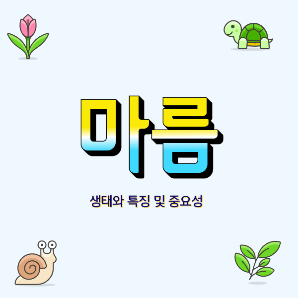  식물 마름이란? 연못에서 자라는 맛있고 아름다운 식물