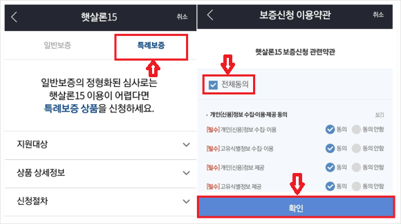 서민금융진흥원-특례보증선택