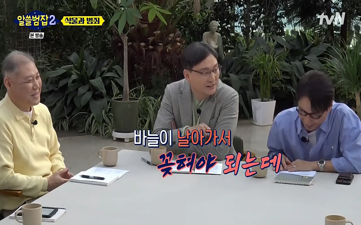 알쓸범잡 2.E15.220425p-NEXT.mp4_20220425_174924.164.jpg