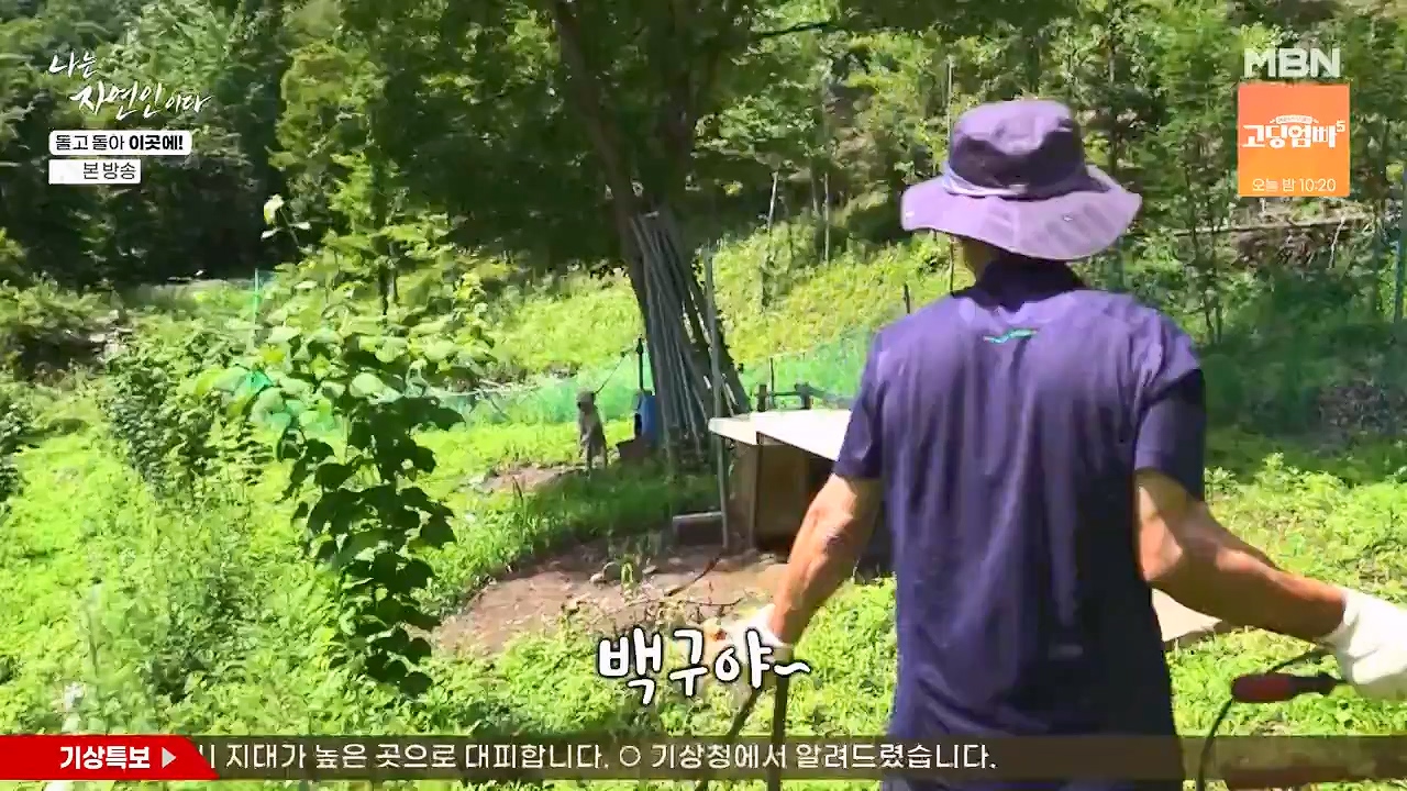 나는 자연인이다.E614.240718p-NEXT.mp4_20240718_195151.521.jpg