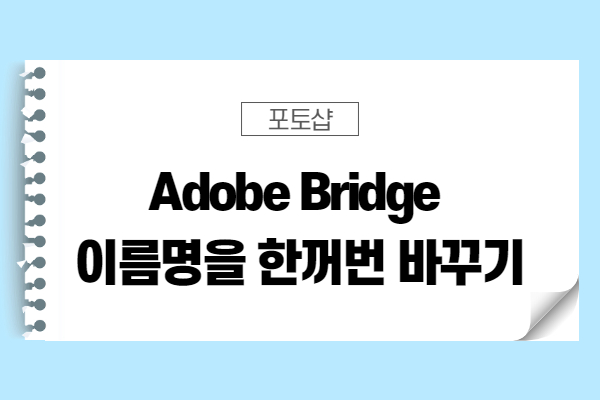  [포토샵 팁] adobe bridge 여러 사진들의 이름명을 한꺼번에 바꿔보기