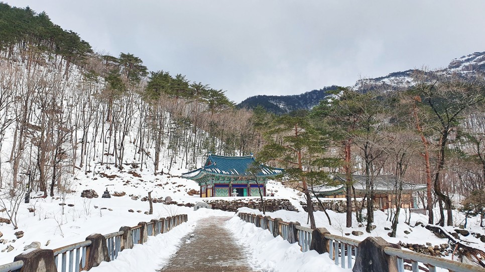 눈쌓인설악산, 6
