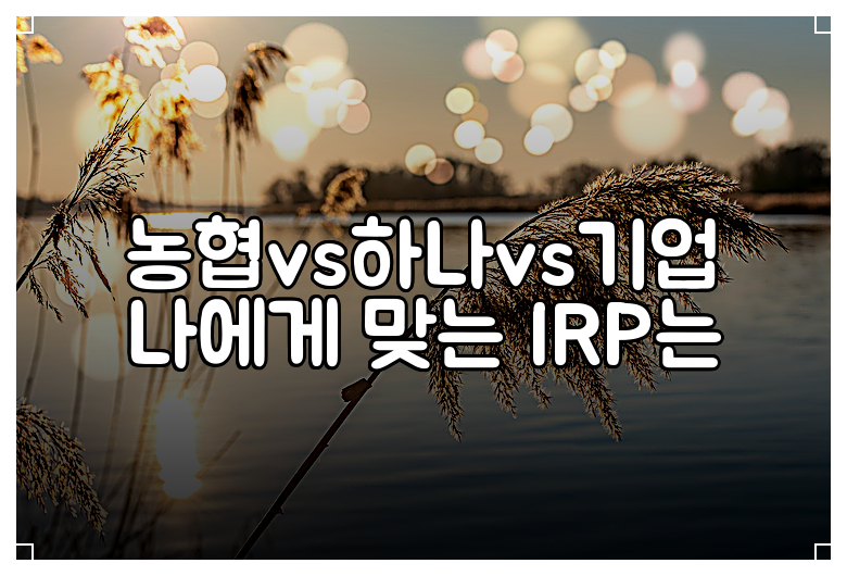 농협vs하나vs기업 나에게 맞는 IRP는