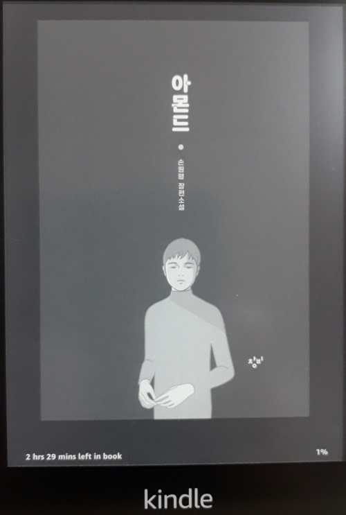  아몬드 독후감, 아몬드 줄거리, 창비청소년문학상 수상작