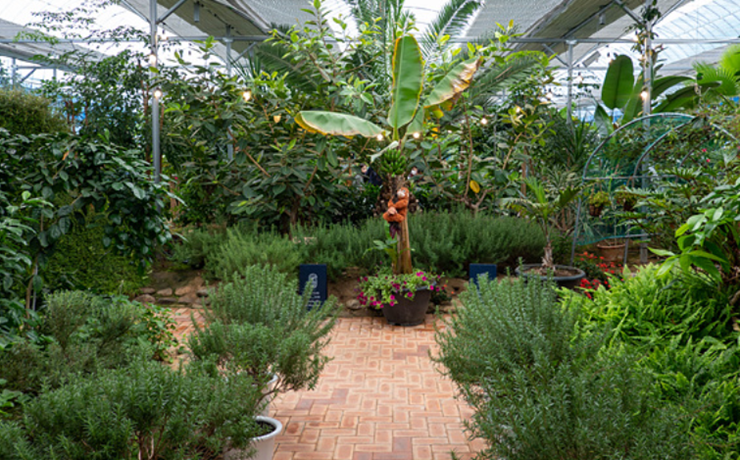 온실-식물원