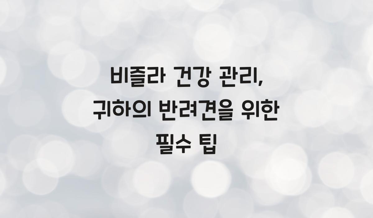 비즐라 건강 관리