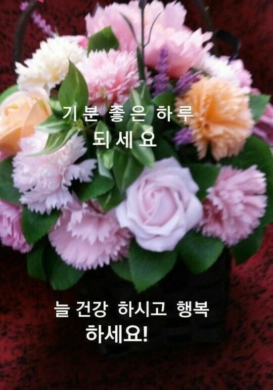 버스기사님ᆢ 너무 너무ᆢ 고맙습니다 나에게도 이런일이ᆢ성남시내 51번 3