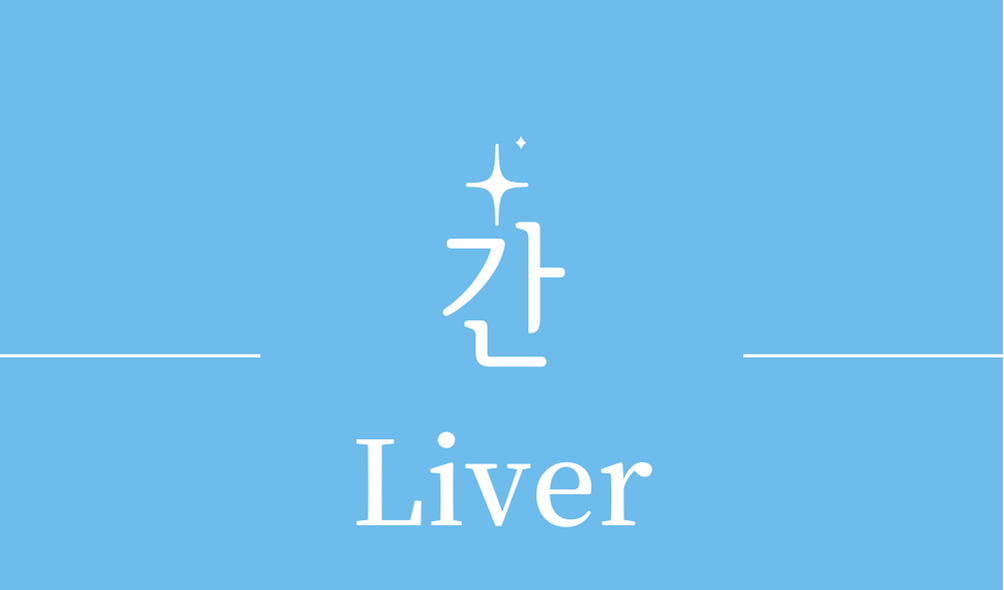 &#39;간(Liver)&#39;