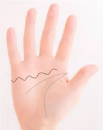 꼬불꼬불한 감정선
