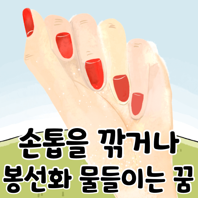 다듬어진 손톱