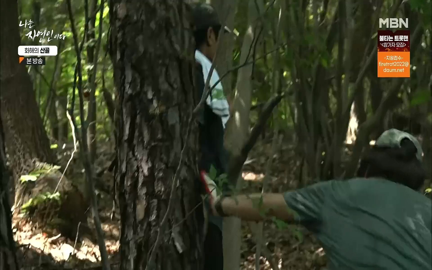 나는 자연인이다.E515.220817p.H264-F1RST.mp4_20220818_201918.227.jpg