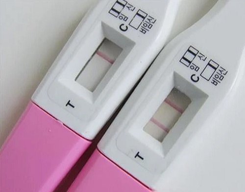 임신테스트기 사용시기 사용법 임신착상혈 시기 생리 임신 초기증상 알려드림