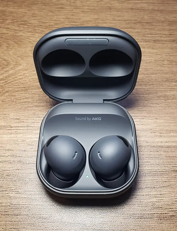 Galaxy Buds2 Pro-Graphit