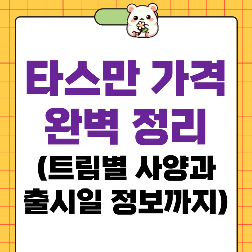 타스만 가격