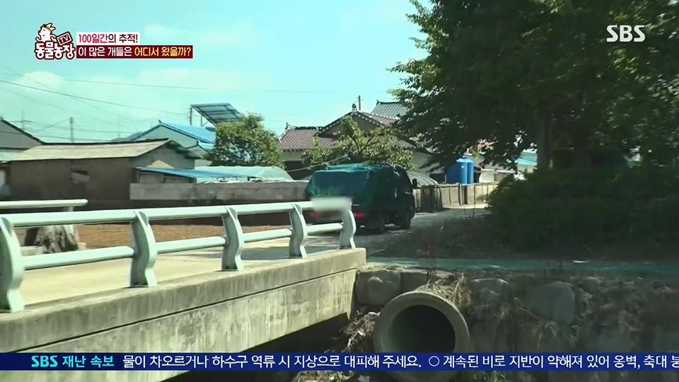 TV 동물농장.E1129.230716p.H264-F1RST.mp4_20230716_183639.609.jpg