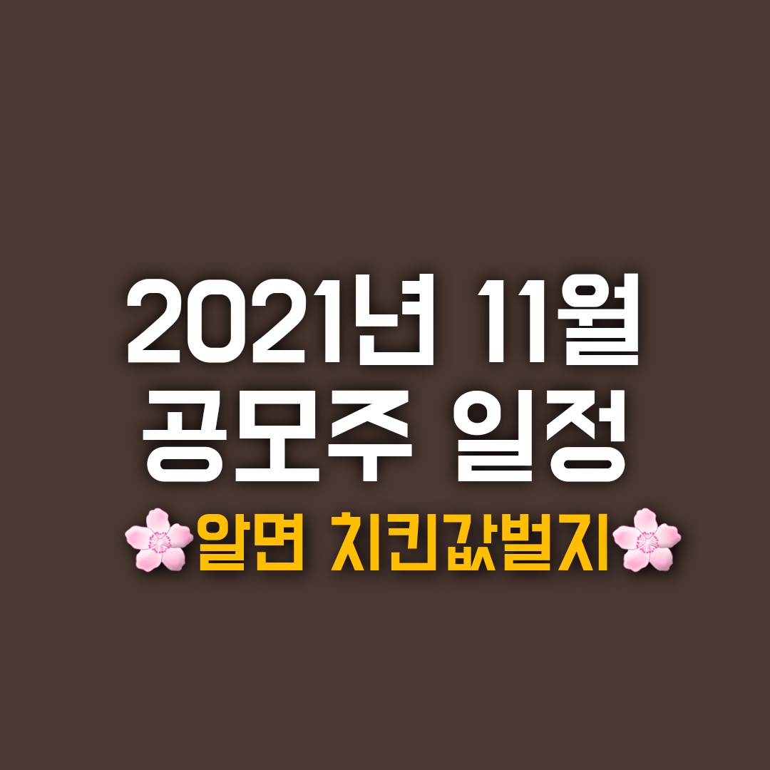  2021년 11월 공모주 일정 및 공모주로 무조건 수익나는법