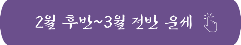 사자자리 2025년 2월 후반~3월 전반 별자리 운세 신년운세