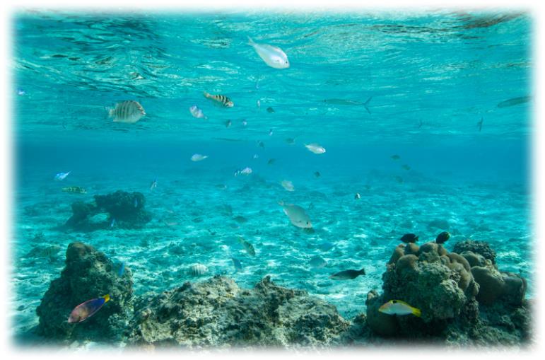 사이판의 에메랄드 빛 바다 아름다운 자연과 문화가 어우러진 미국령 사이판: 파라다이스 아일랜드