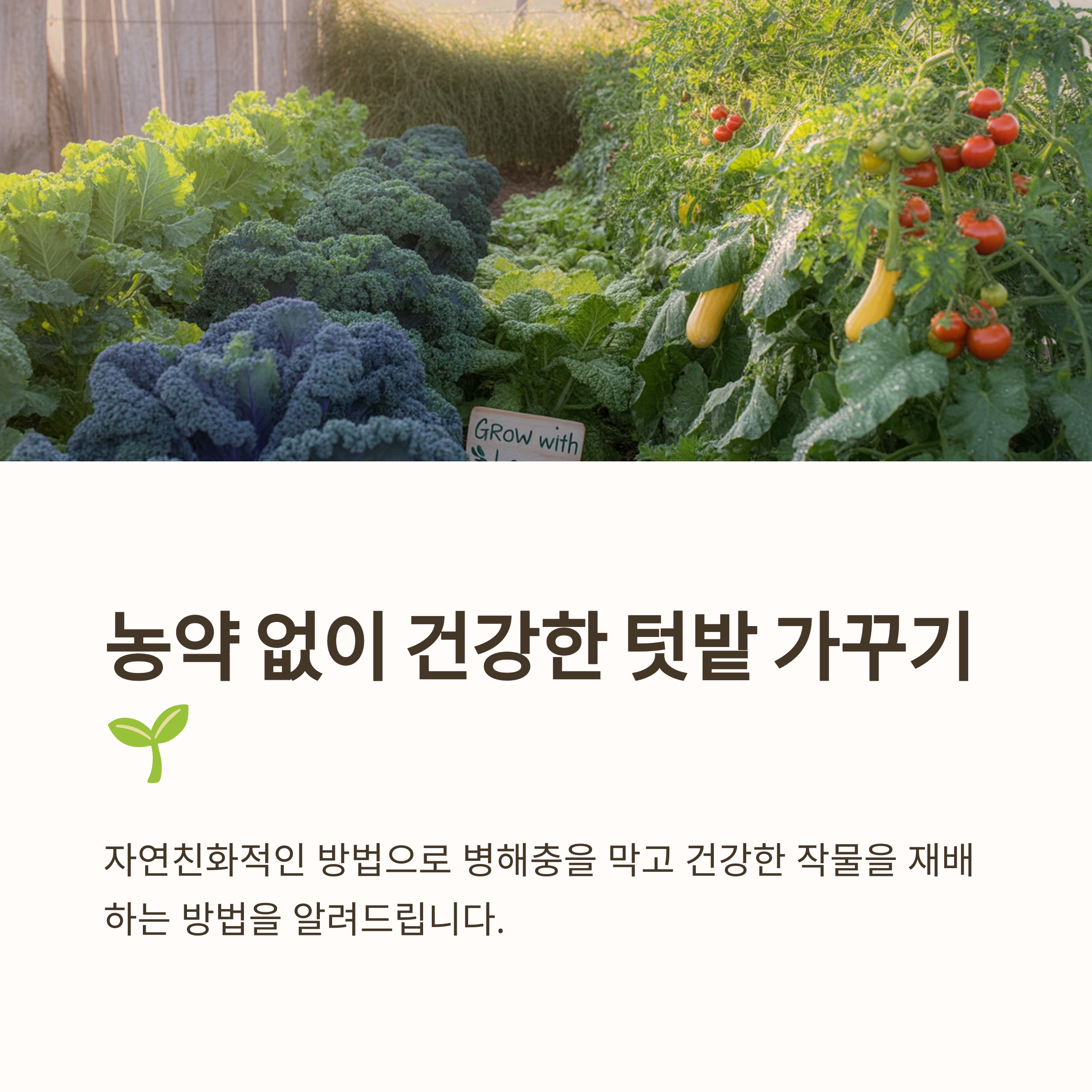 텃밭 농약 대체 방법