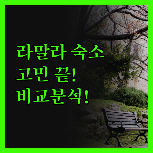 팔레스타인 라말라 숙소 고민 끝! 올