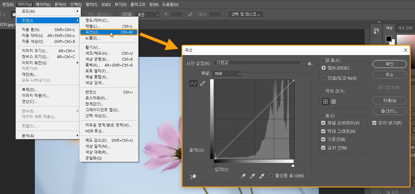 커브 기능을 실행하는 방법