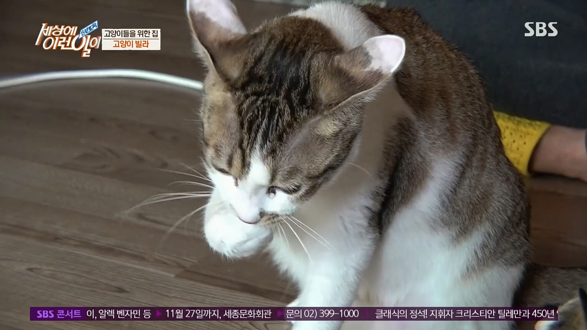 순간포착 세상에 이런일이.E1206.221115p.H264-F1RST.mp4_20221118_195825.272.jpg