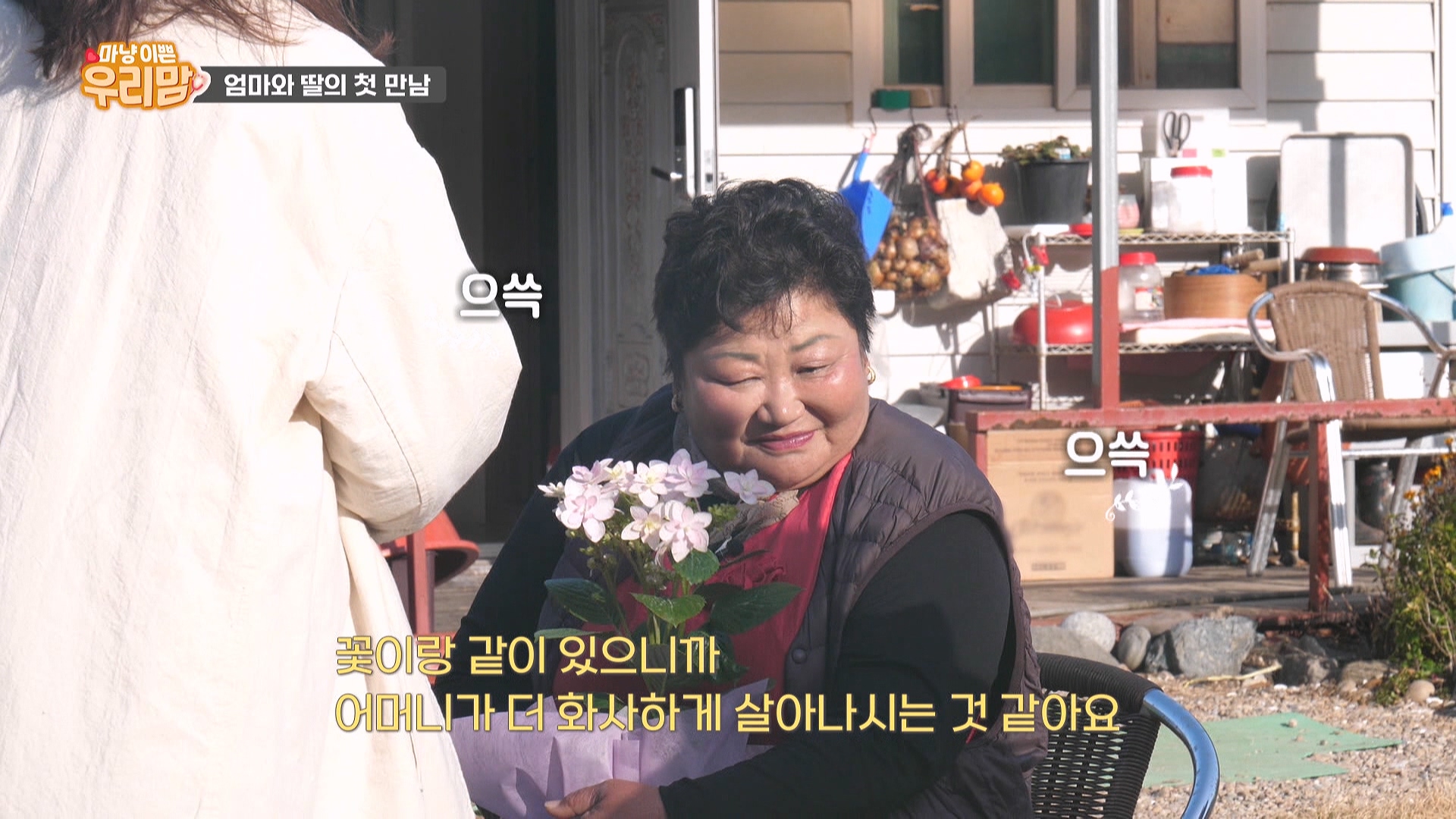 섬마을낙지 이미지