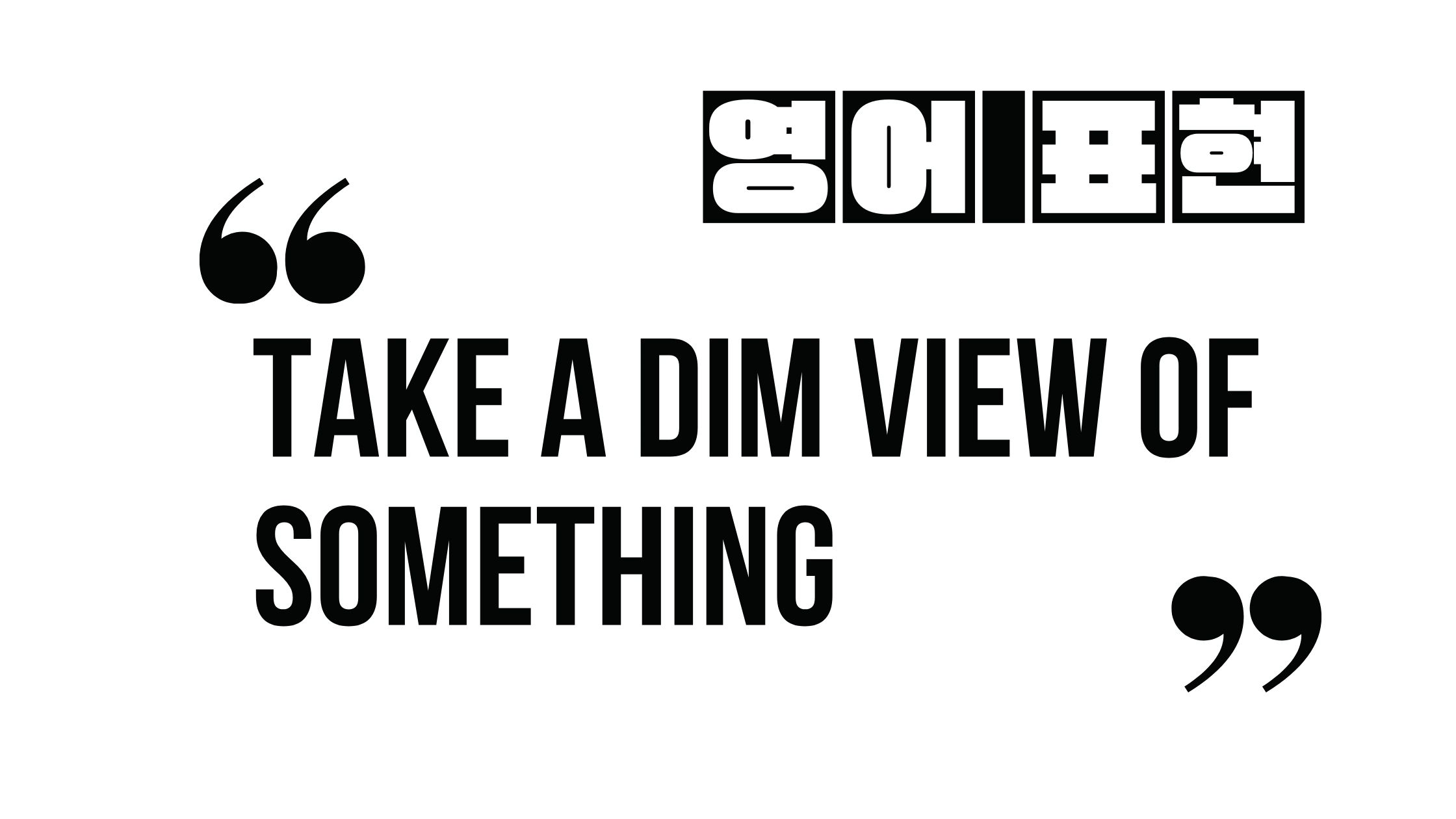  (자주 쓰는 영어 표현) Take a dim view of something