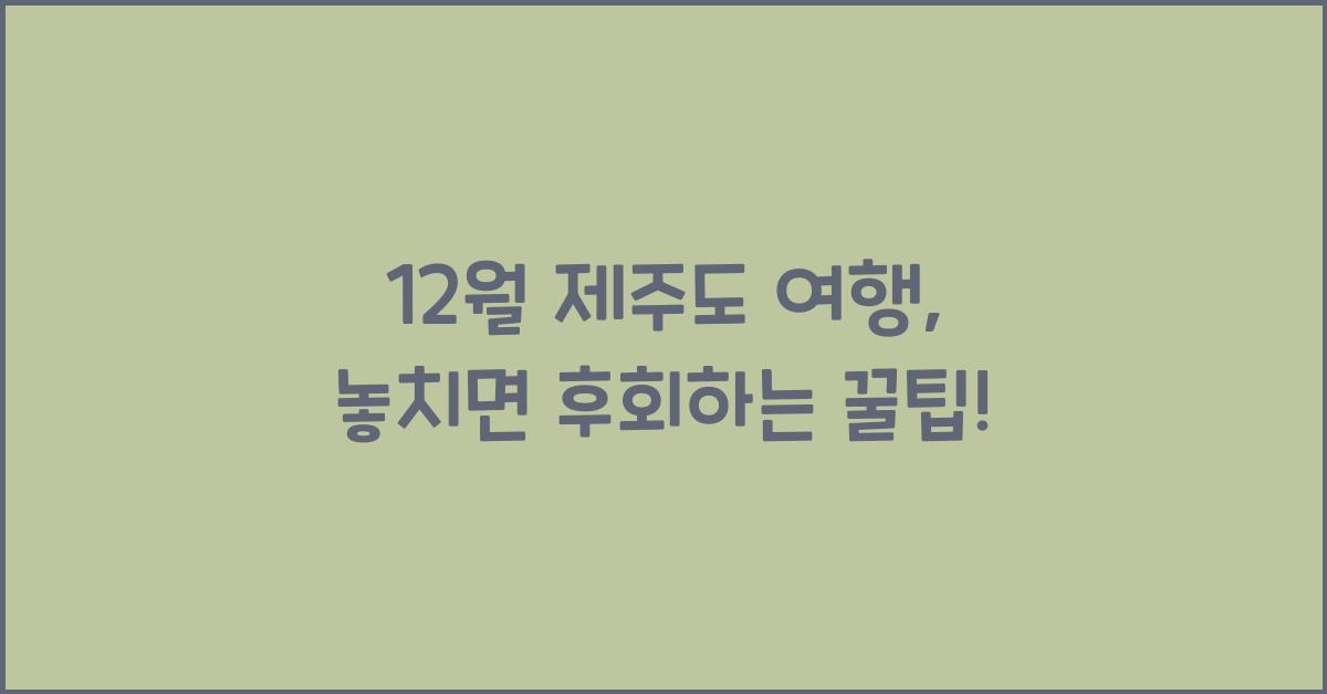 12월 제주도 여행