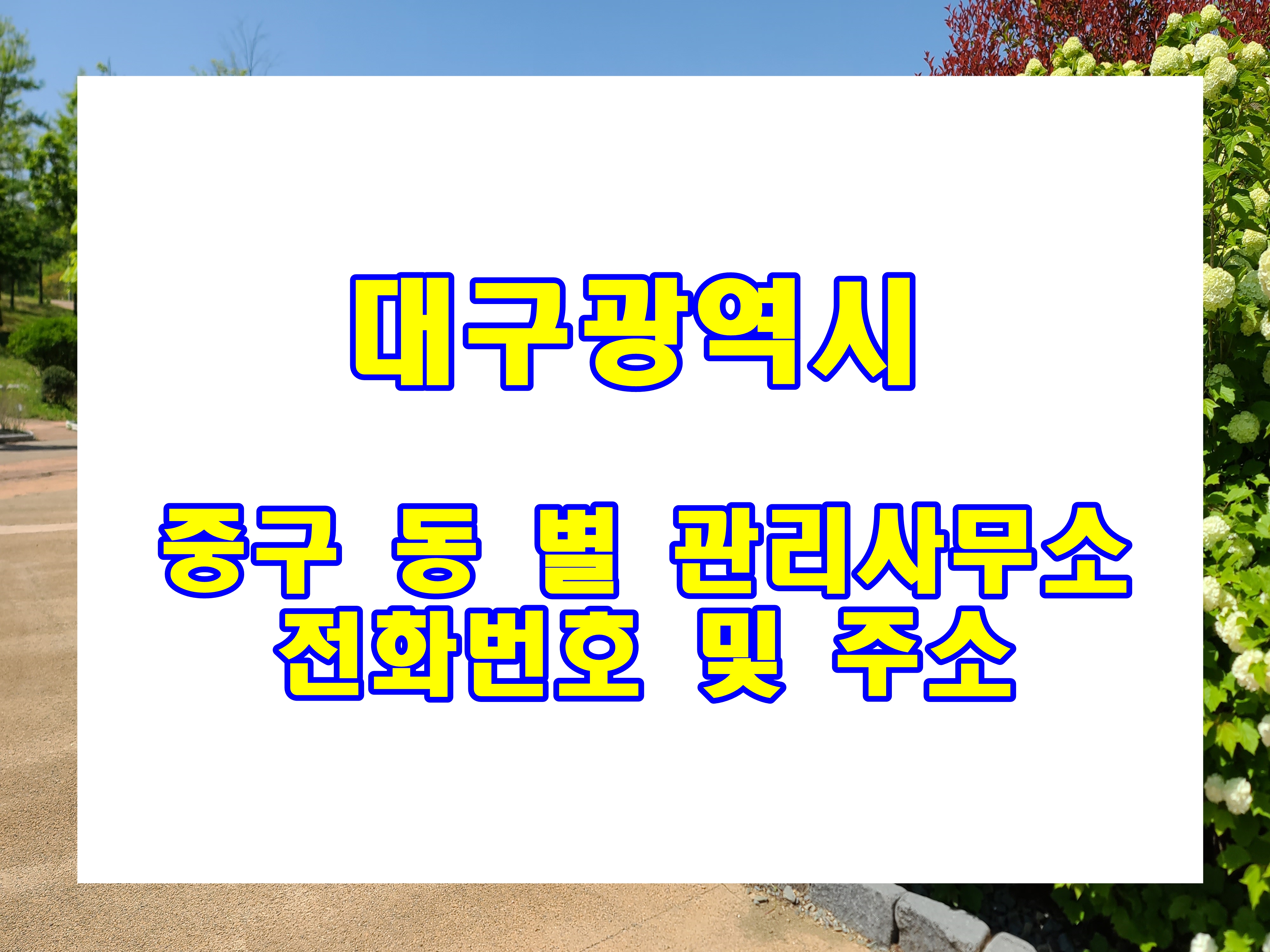  대구 광역시 중구 아파트 관리 사무소 전화번호 대구역 성내동 수창동 삼덕동 동인동 동성로 대봉동 관리실 연락처 및 주소
