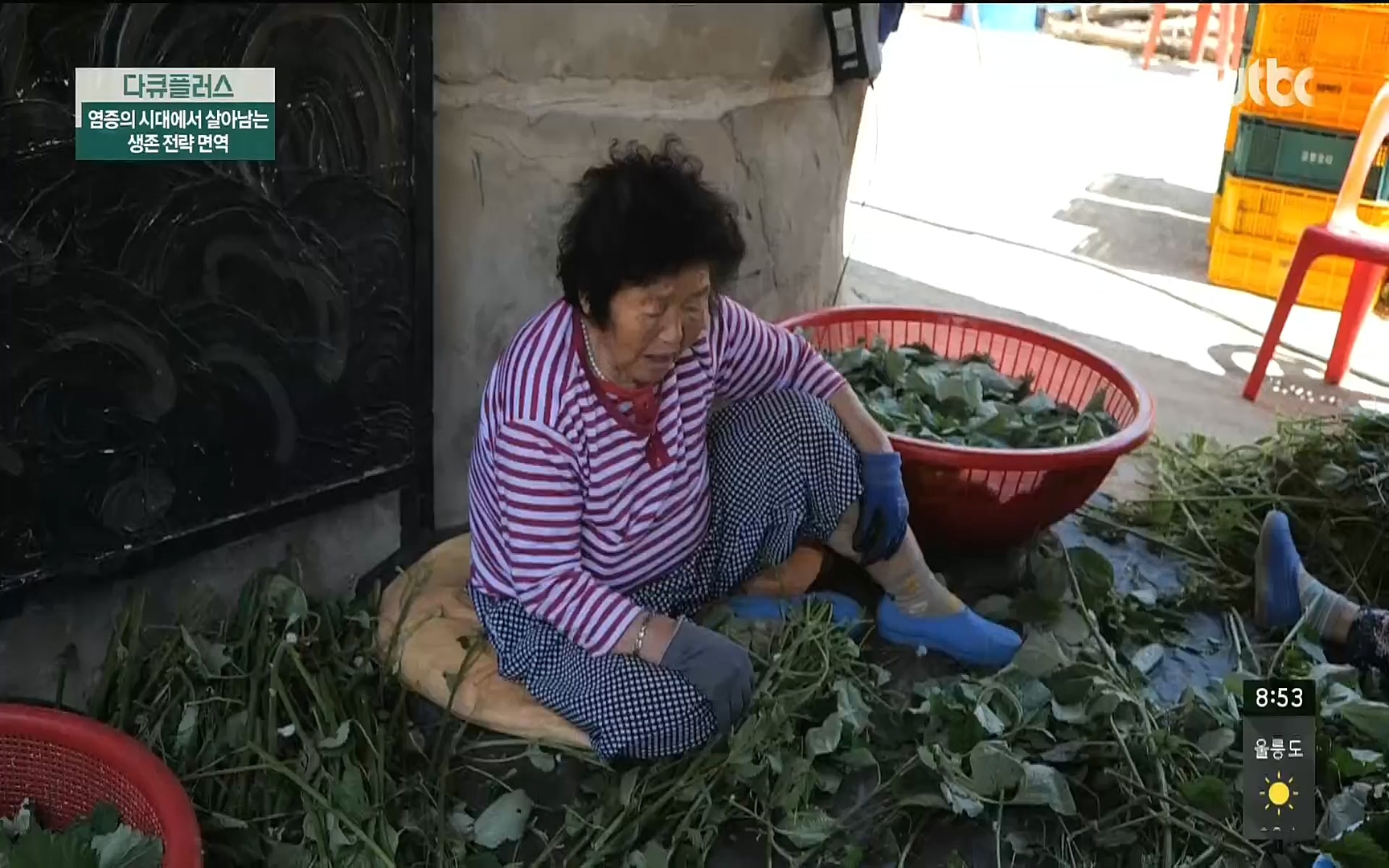 다큐 플러스.E216.220522p.H264-F1RST.mp4_20220523_203425.276.jpg