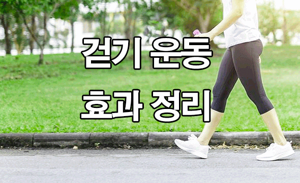  걷기 운동 효과 정리