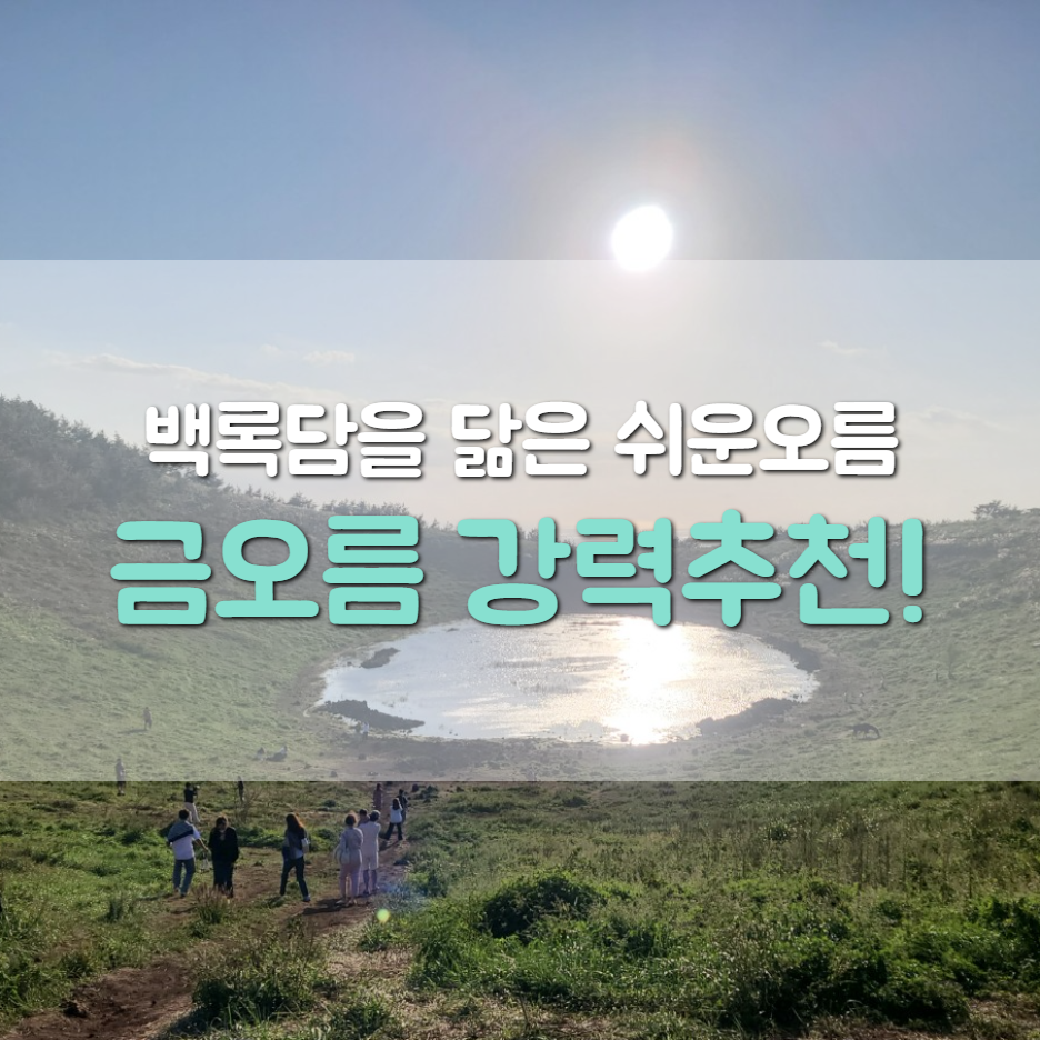 여행일기_제주도 쉬운오름 추천, 백록담을 닮은 금오름 후기