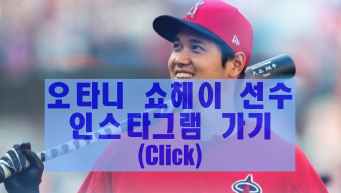 오타니 쇼헤이 인스타그램