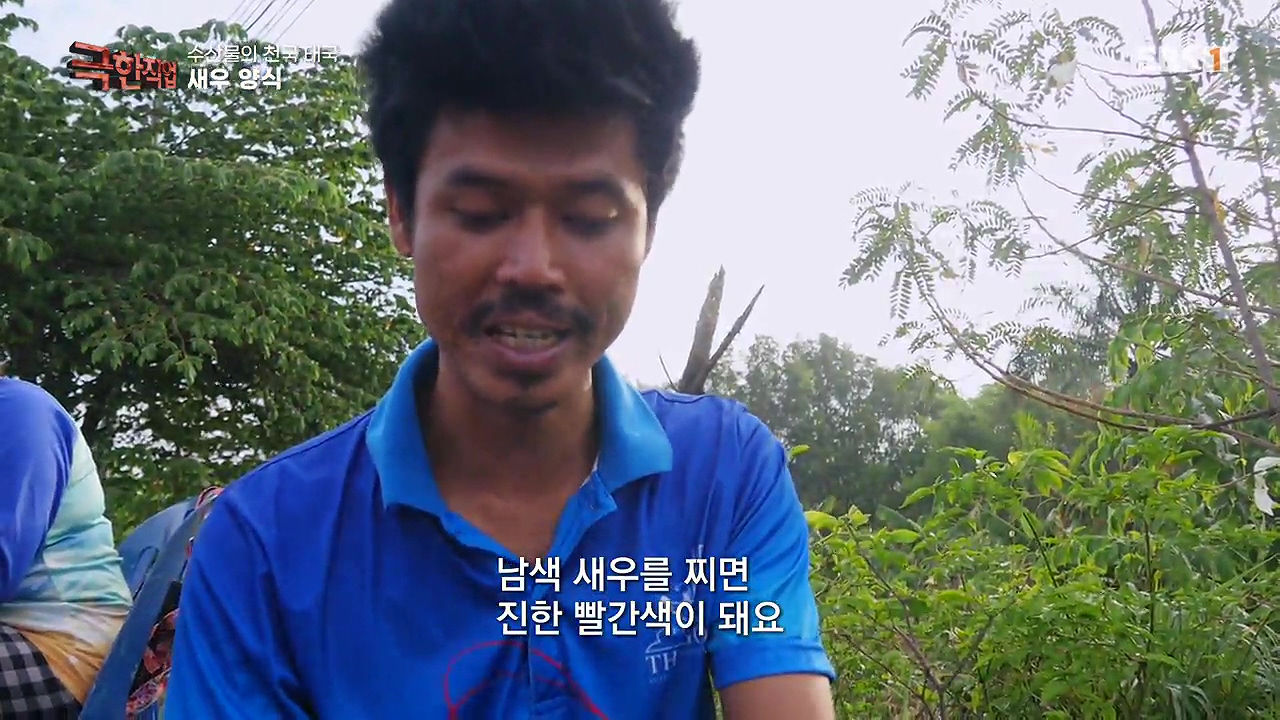 TV - 전 국민의 평생학교 EBS수산물의 천국 태국, 새우 양식과 말린 생선.mp4_20240604_200748.999.jpg