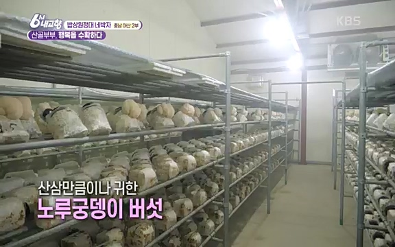 [7612회] 6시 내고향 - KBS7612회] 6시 내고향.ts_20220912_172721.446.jpg