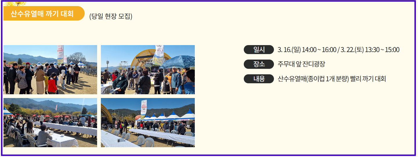산수유열매까기 체험