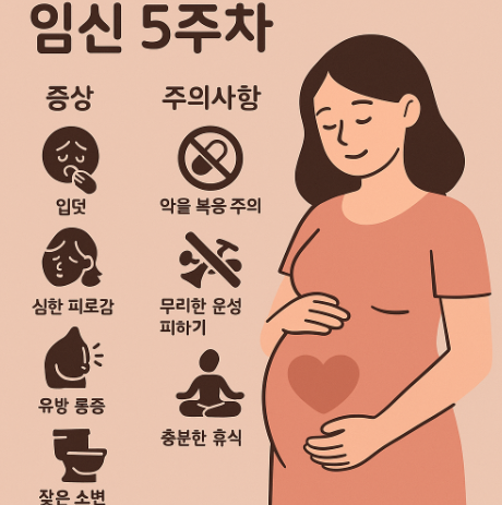 임신5주
