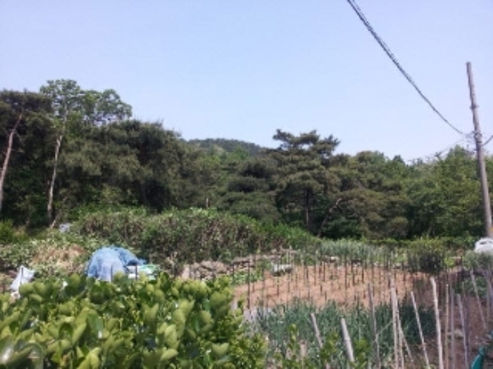 광주지방법원2014타경7634 광주 남구 진월동 산249