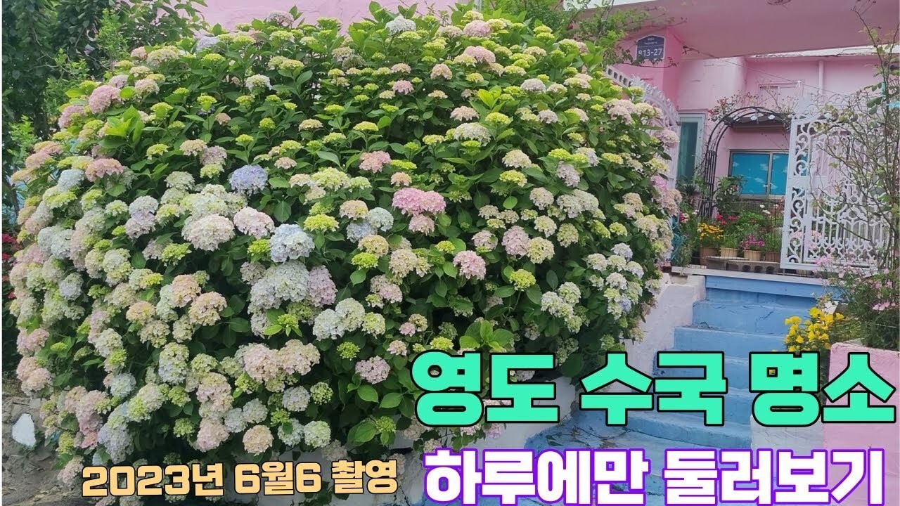 하리집 대표 사진