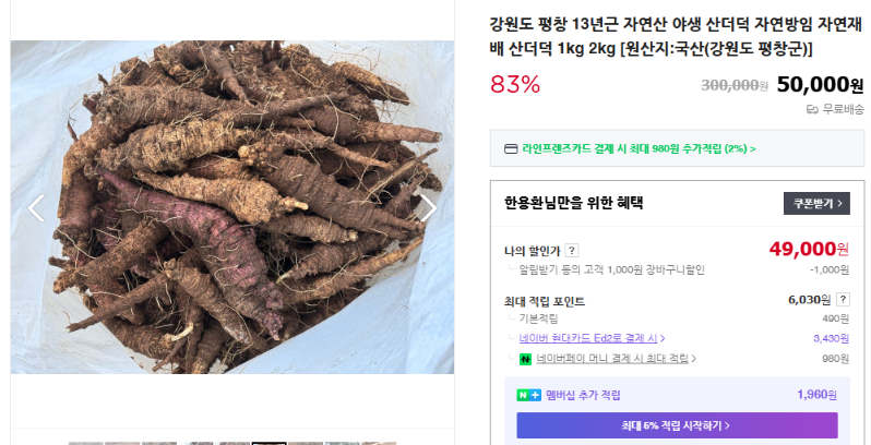 [극한직업 평창 산더덕] 지금이 제철! 향긋한 더덕 택배 주문 방법 연락처 주소 총정리